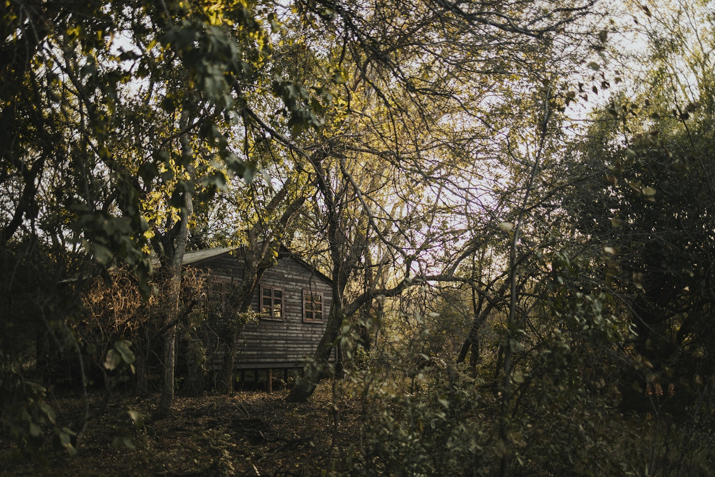 How to Build an Off-Grid Shelter
