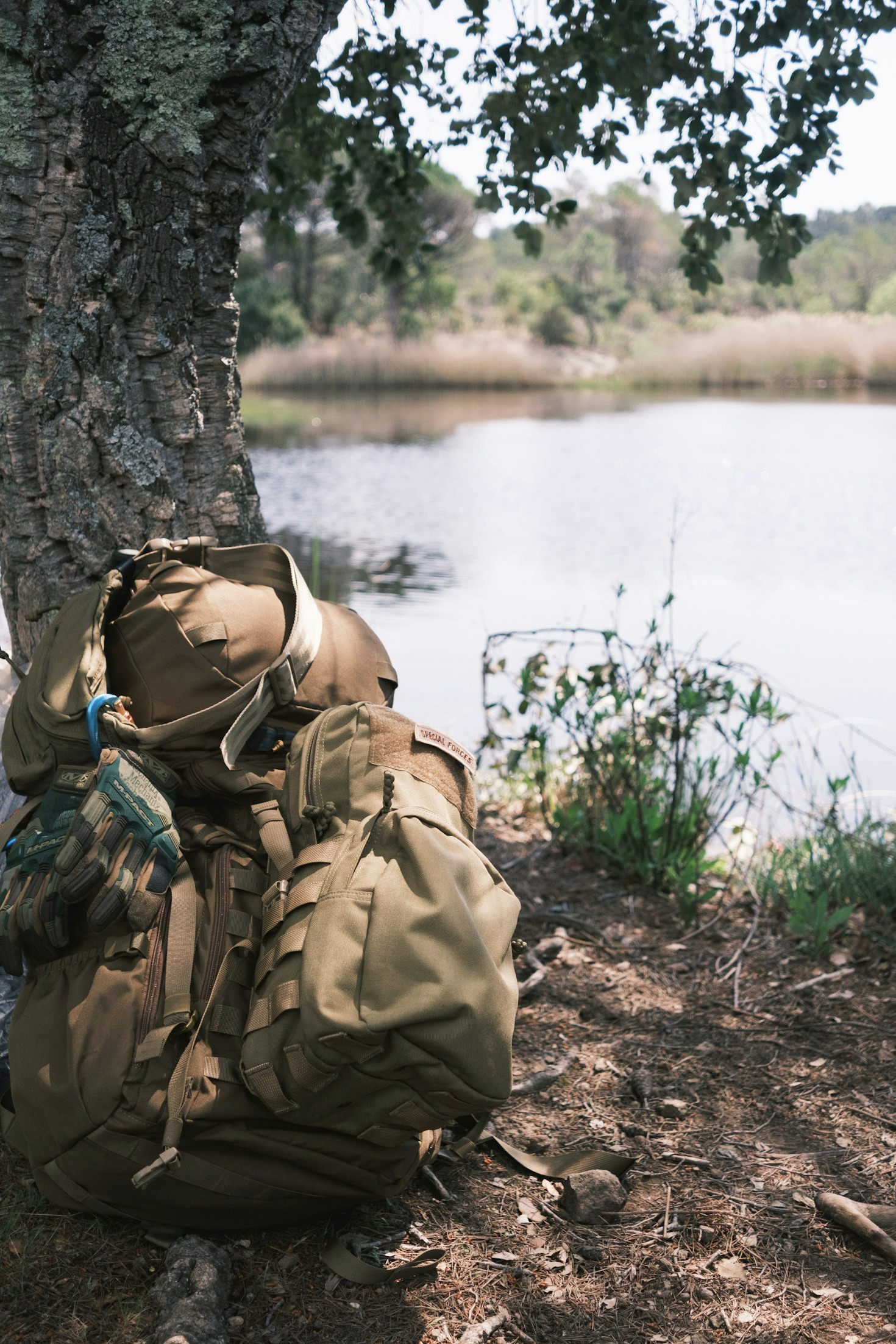 5 Expert Tips for Thriving in Crisis Situations